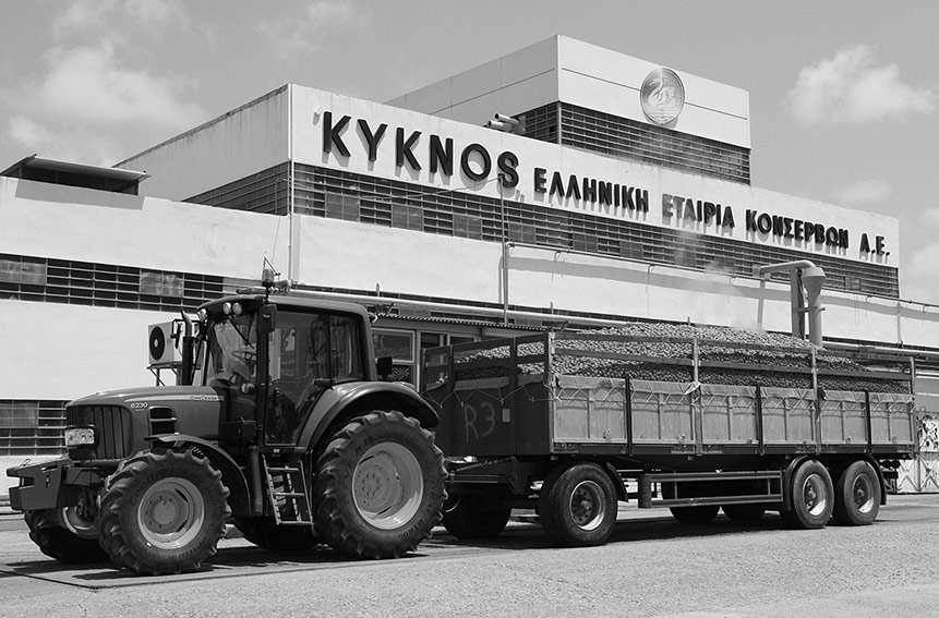 Tractor carries tomato crop to the new can production factory of KYKNOS in Savalia, Ilia.