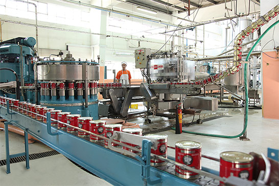 Production line of canned products.