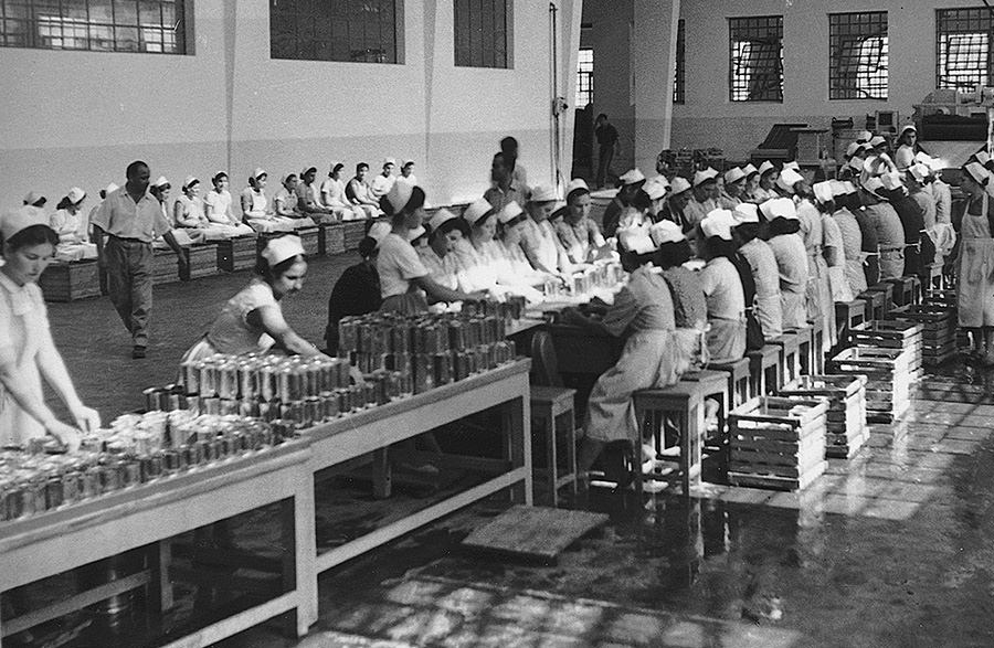 Γυναίκες εργαζόμενες παράγουν κονσέρβες στις πρώτες δεκαετίες της εταιρίας KYKNOS.